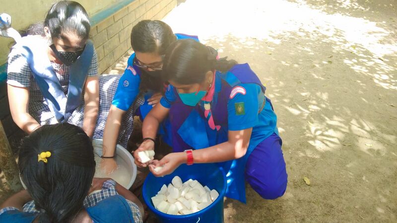 പ്രമാണം:37001 sg27.jpeg