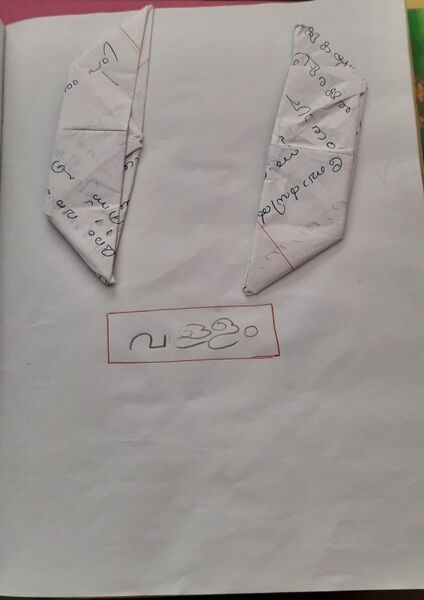 പ്രമാണം:50025-KTM-KUNJ-DEVDEVU 6.jpg