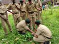 Cadets Planting Trees in school