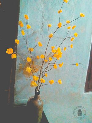 P17WhatsApp Image 2022-01-29 at 6.59.34 PM (3).jpeg