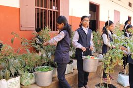 young farmers in vegetable gardon