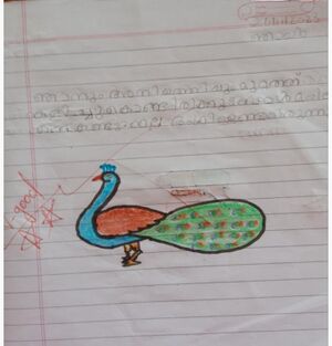 1324-KNR-KUNJ-MUHAMMED SHESIN.jpeg