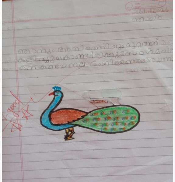 പ്രമാണം:1324-KNR-KUNJ-MUHAMMED SHESIN.jpeg