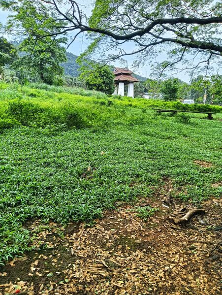 പ്രമാണം:13783 MODULE 6.jpg