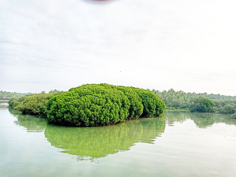 പ്രമാണം:19068 ente gramam 17.jpeg