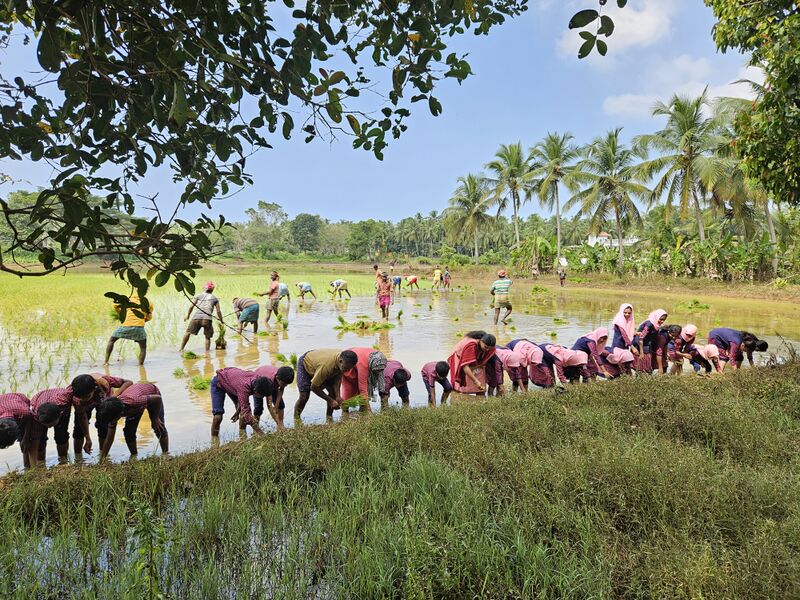 പ്രമാണം:19420 ilacharth.jpg