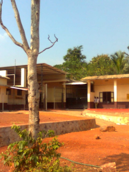 പ്രമാണം:19501 2.jpg