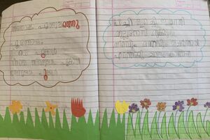 19658-MLP-KUNJ-SAFANA 1.JPG