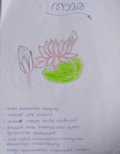 പ്രമാണം:19865-MLP-KUNJ-MUHAMMED FADHI IB.jpg