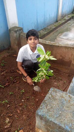 21068 gardening2.jpeg