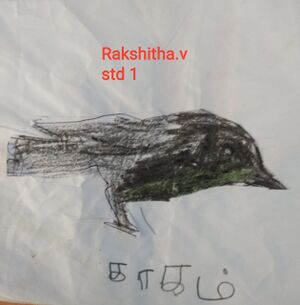 21505-PKD-KUNJU-RAKSHITHA.jpeg