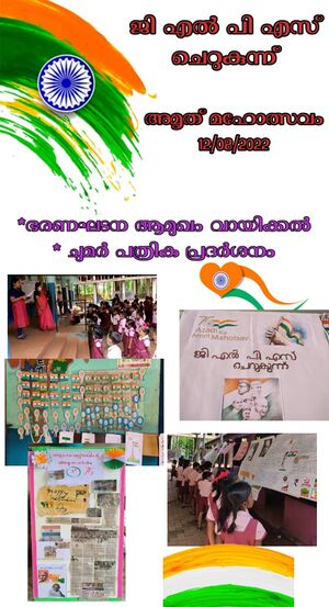 22405 wall magazine.jpeg