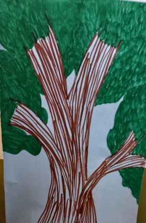 23453 -TSR-KUNJ-FARZIN MOHAMMED.jpg