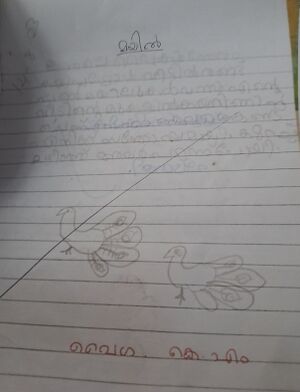 23454 TSR KUNJ VAIGHA-min.jpg