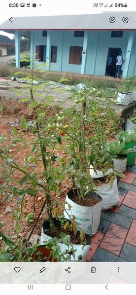 പ്രമാണം:25095 E1.jpeg