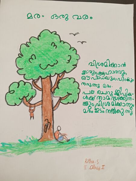 പ്രമാണം:26259-EKM-KUNJ-Rithu S.jpg