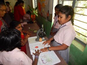 31261 school Ppic.jpg