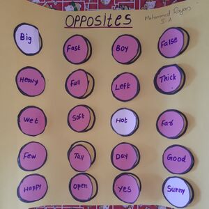 31413-KTM-KUNJ-MUHAMMED RAYAN.jpg