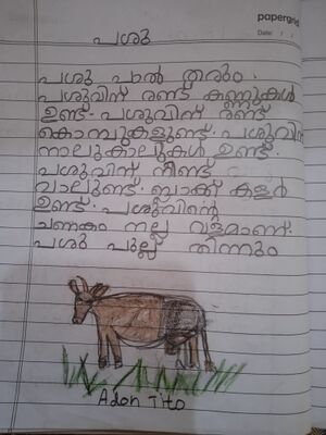 31526-KTM-KUNJ-ADON TITTO.jpg