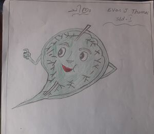 32364-KTM-KUNJ-EVAN J THOMAS.jpg