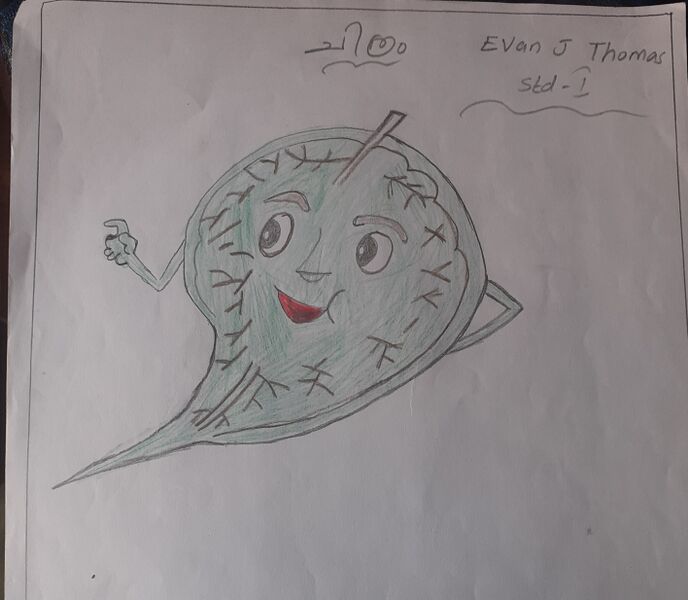 പ്രമാണം:32364-KTM-KUNJ-EVAN J THOMAS.jpg