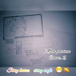 35219 AFRA PARVEEN STD2.jpg