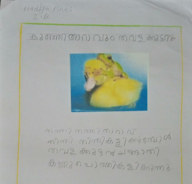 പ്രമാണം:35229-ALP-KUNJ-HADIYA ANAS IB.jpg