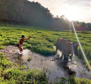 38047 Varsha Photo.jpeg