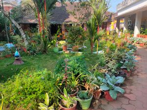 38325 schoolgarden.jpeg