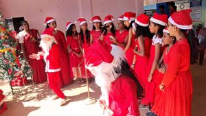 BS TVM 44066 28c.jpeg