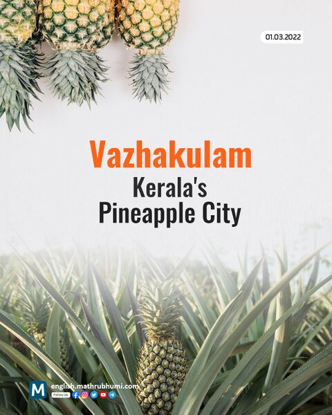 പ്രമാണം:Untitled-4 (1) copy 3.jpg