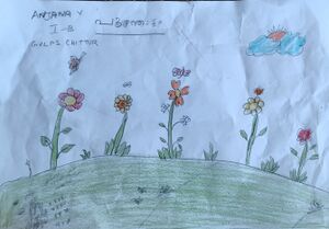 21302-PKD-KUNJ-V ANJANA 2.jpg