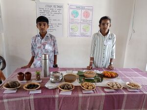 22274 -science project food alternatives.jpg