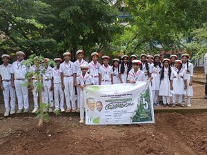 23052-pari25-02.jpeg