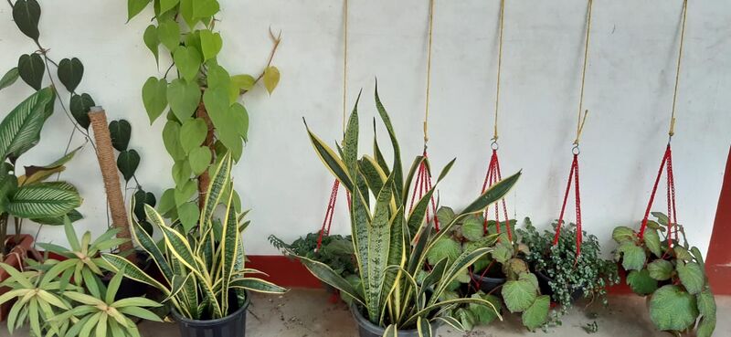 പ്രമാണം:28209-SchoolParisaram (1).jpg