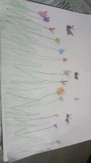 30446-IDU-KUNJU-AKSHAY BAIJU.jpeg