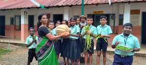 31262- valavoor-harvesting3.jpg