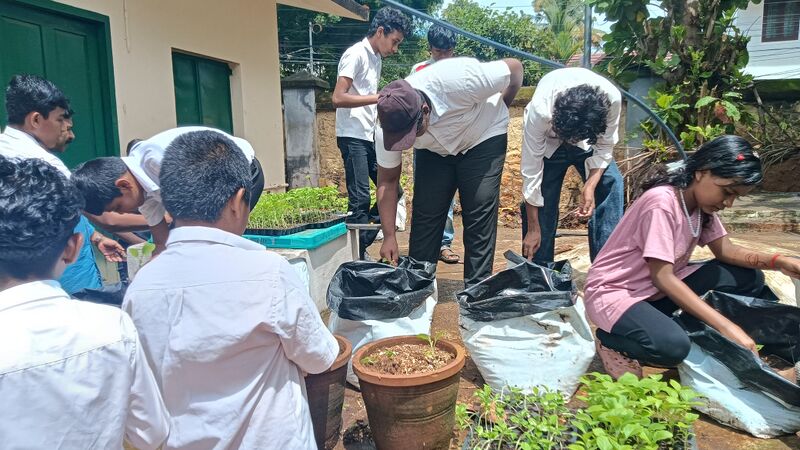പ്രമാണം:43052 kitchengarden setting.jpg