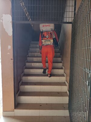 47089 firefofce.jpeg