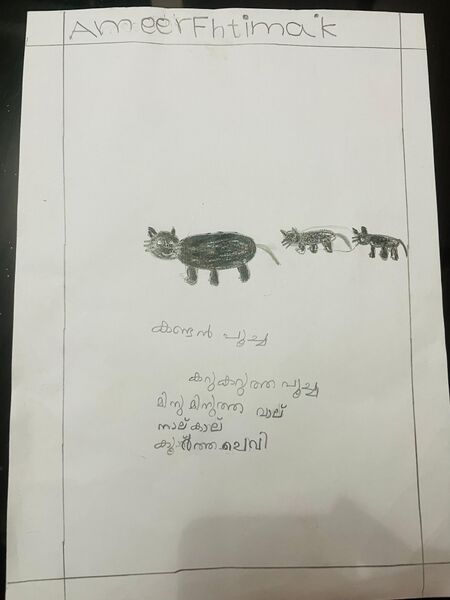 പ്രമാണം:47431-KKD-KUNJ-AMEERA FATHIMA K.jpg