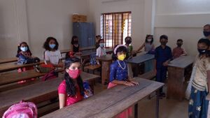 BS21 MLP 48049 5.jpg