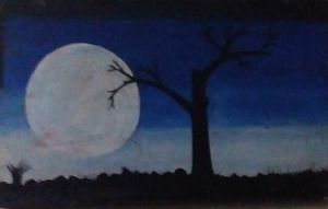 14564-Shaziya KP1.jpg