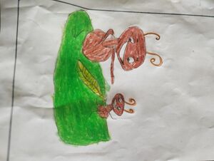 18508-MLP-KUNJ-FATHIMA SHIFA.jpeg