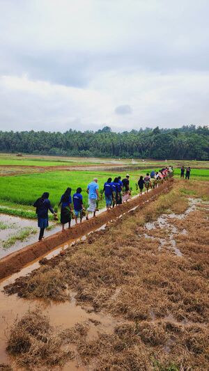 19071 parappur2.jpeg