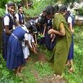 10:13, 6 സെപ്റ്റംബർ 2018-ലെ പതിപ്പിന്റെ ലഘുചിത്രം