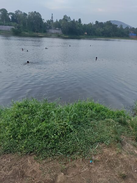 പ്രമാണം:27219.jpeg