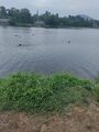 20:48, 19 ഏപ്രിൽ 2024-ലെ പതിപ്പിന്റെ ലഘുചിത്രം