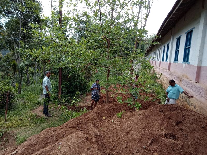 പ്രമാണം:30014 VEGE2.jpg