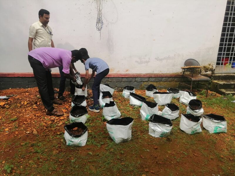 പ്രമാണം:33027 VEG1.jpg