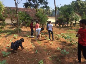 CLEANING GARDEN.jpeg